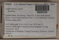 Image Associated With the Occurence
